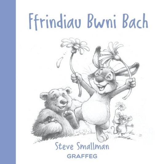 Cover image for Ffrindiau Bwni Bach, isbn: 9781802580532