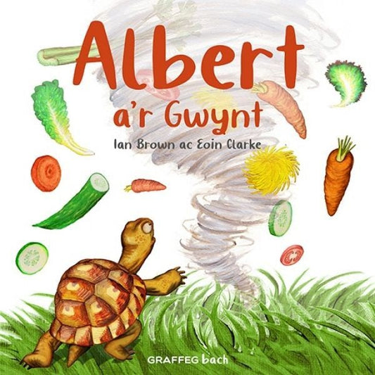 Cover image for Albert a'r Gwynt, isbn: 9781802581430