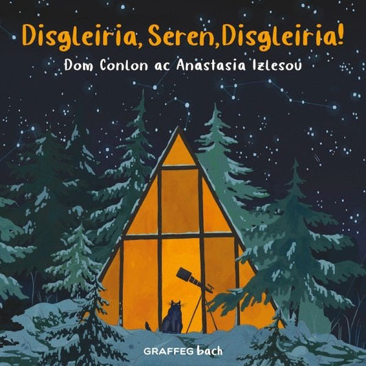 Cover image for Disgleiria, Seren, Disgleiria!, isbn: 9781802581973