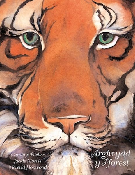 Cover image for Arglwydd y Fforest, isbn: 9781802581980