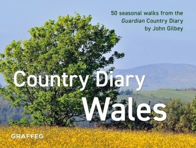 Cover image for A Country Diary in Wales, isbn: 9781802581997