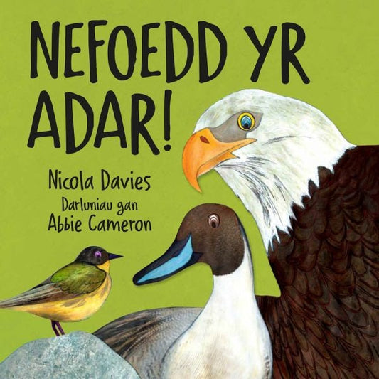 Cover image for Nefoedd yr Adar!, isbn: 9781802582062