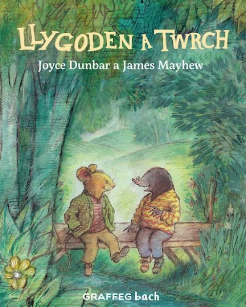 Cover image for Llygoden a Twrch, isbn: 9781802582178