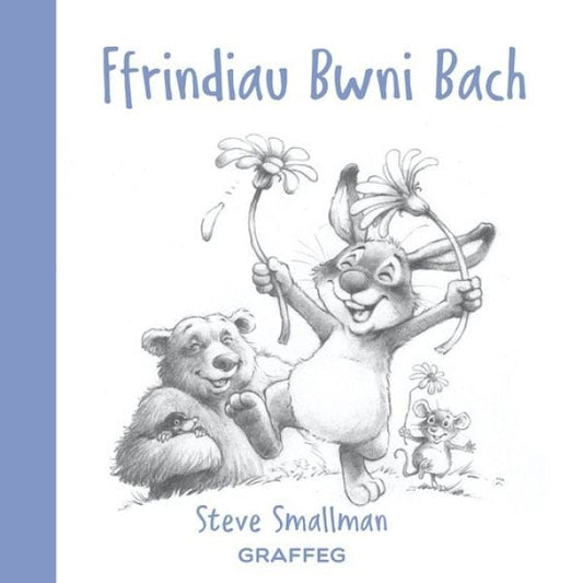 Cover image for Ffrindiau Bwni Bach, isbn: 9781802582703