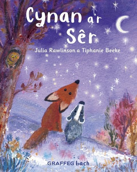 Cover image for Cynan a'r Sêr, isbn: 9781802583755