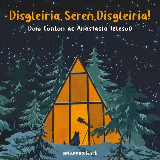 Cover image for Disgleiria, Seren, Disgleiria, isbn: 9781802583946