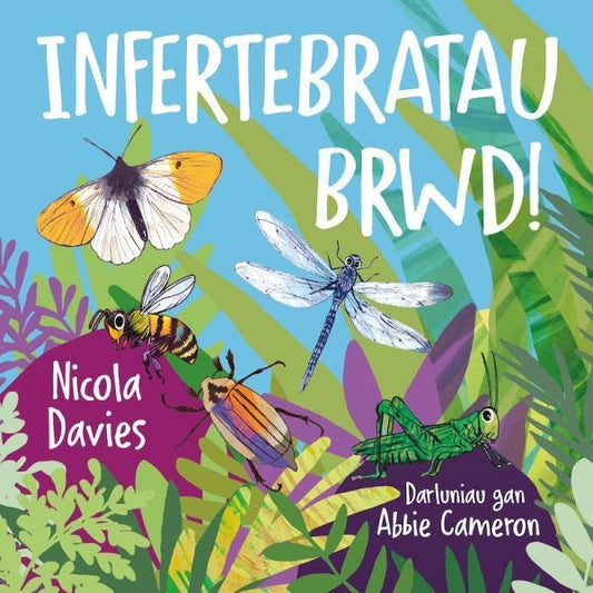 Cover image for Infertebratau Brwd!, isbn: 9781802583984