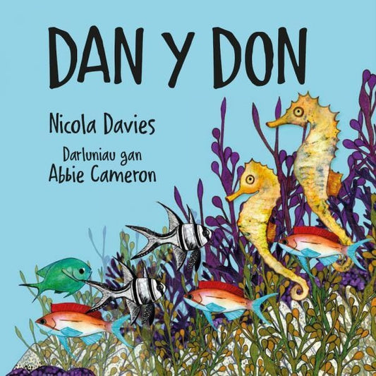 Cover image for Dan y Don, isbn: 9781802584264