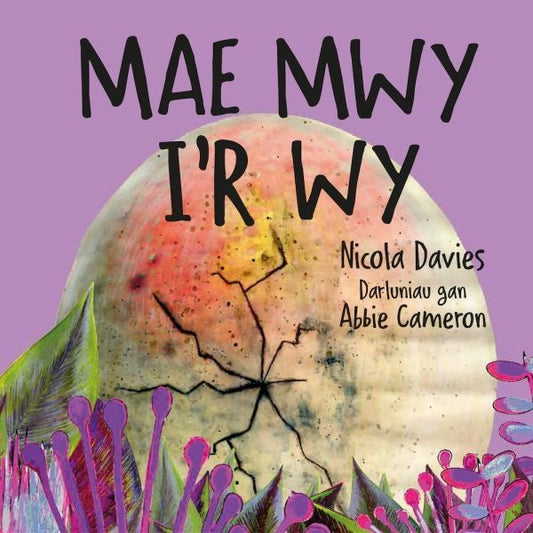 Cover image for Mae Mwy i'r Wy, isbn: 9781802584288