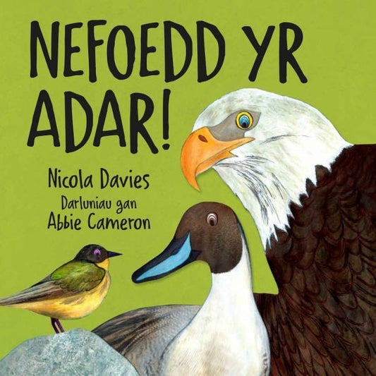 Cover image for Nefoedd yr Adar!, isbn: 9781802584318