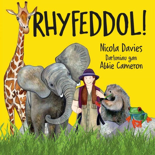 Cover image for Rhyfeddol!, isbn: 9781802584332