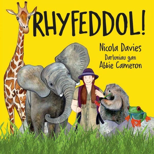 Cover image for Rhyfeddol!, isbn: 9781802584349
