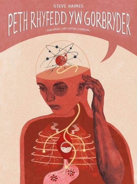 Cover image for Darllen yn Well: Peth Rhyfedd yw Gorbryder, isbn: 9781802584417