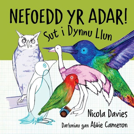 Cover image for Sut i Dynnu Llun: Nefoedd yr Adar!, isbn: 9781802584660