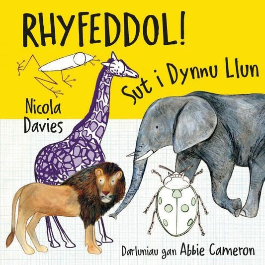 Cover image for Rhyfeddol! Sut i Dynnu Llun, isbn: 9781802584707
