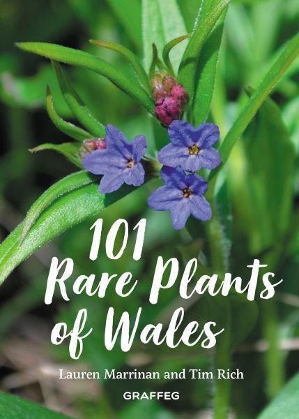 Cover image for 101 Rare Plants of Wales, isbn: 9781802584981