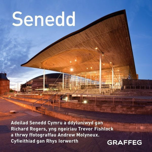 Cover image for Senedd (Cymraeg), isbn: 9781802584998