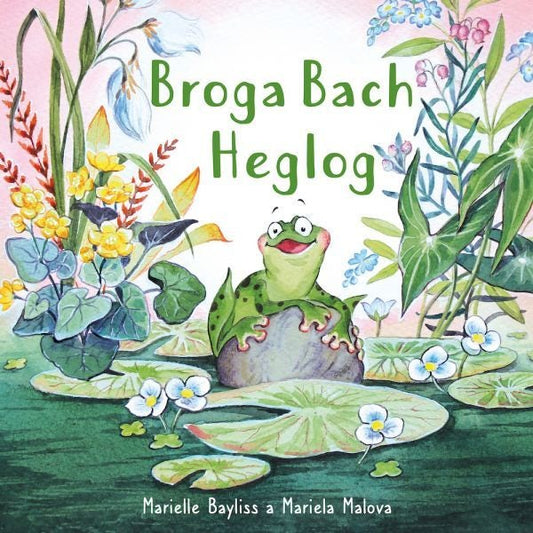 Cover image for Broga Bach Heglog, isbn: 9781802585025