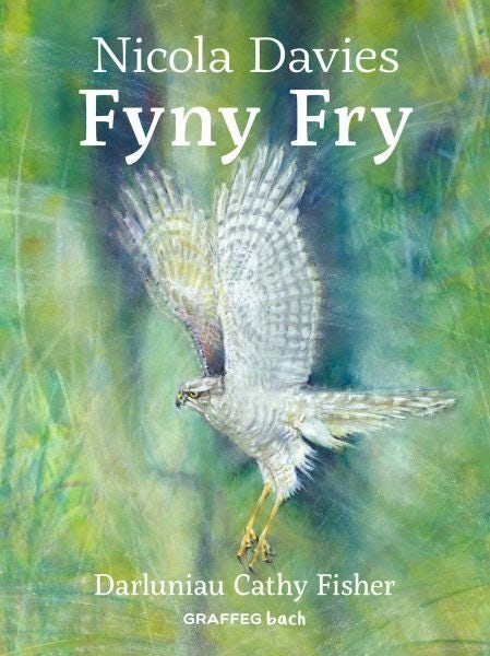 Cover image for Fyny Fry, isbn: 9781802585032