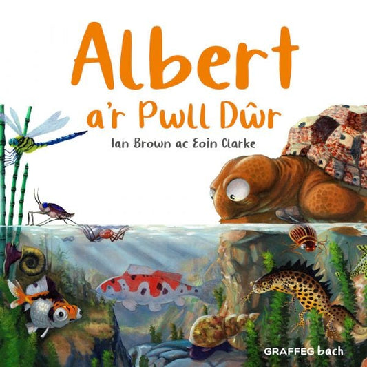 Cover image for Albert a’r Pwll Dŵr, isbn: 9781802585964