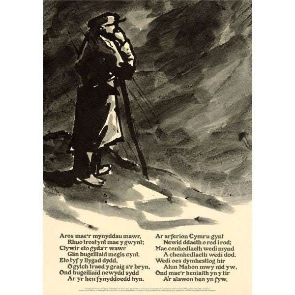 Cover image for Alun Mabon Poster Poem, isbn: 9781802586015