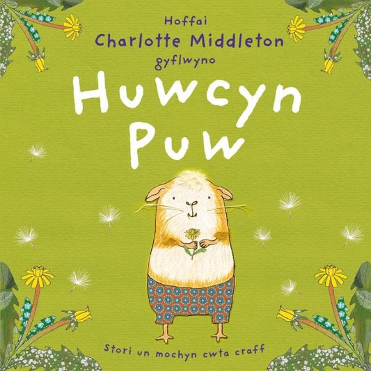 Cover image for Huwcyn Puw, isbn: 9781802586855