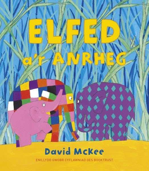 Cover image for Elfed a'r Anrheg, isbn: 9781802587555