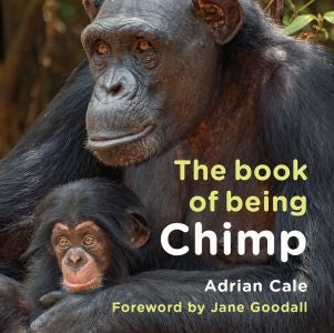 Cover image for The Book of Being Chimp, isbn: 9781802587876