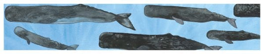 Cover image for Respect the Invisible Card, isbn: 9781802587944