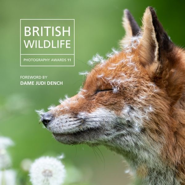 Cover image for British Wildlife Photography Awards 11, isbn: 9781802588477