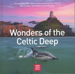 Cover image for Wonders of the Celtic Deep, isbn: 9781802588507