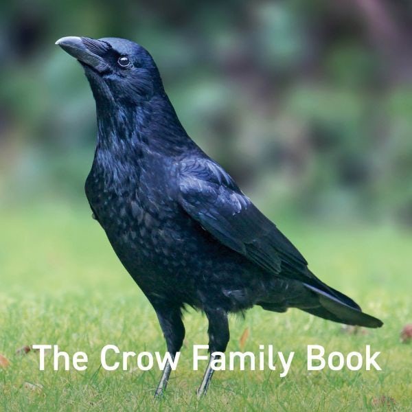 Cover image for The Crow Family Book, isbn: 9781802589559