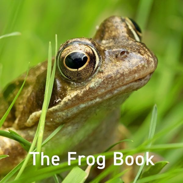 Cover image for The Frog Book, isbn: 9781802589566