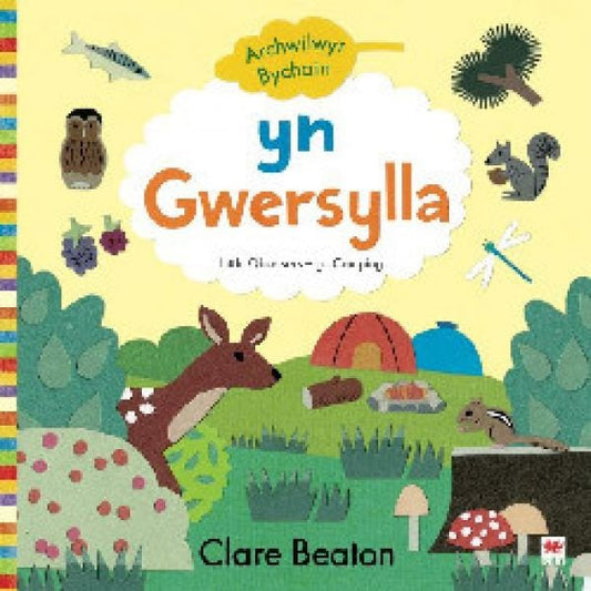 Cover image for Archwilwyr Bychain: Yn Gwersylla / Go Camping, isbn: 9781804160121