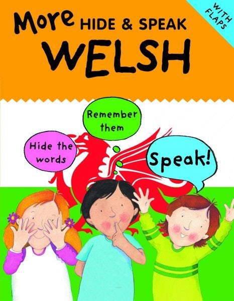 Cover image for More Hide and Speak Welsh, isbn: 9781804160282