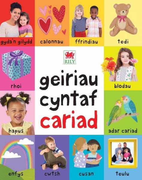 Cover image for Geiriau Cyntaf Cariad, isbn: 9781804160800