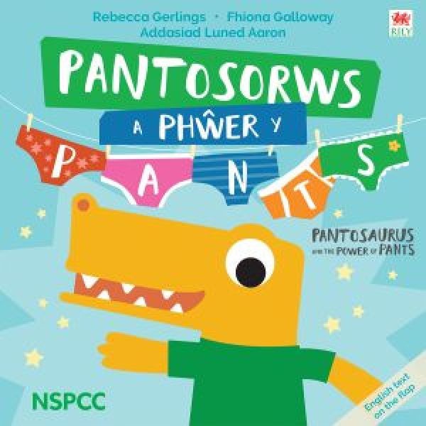 Cover image for Pantosorws a Phŵer y Pants, isbn: 9781804160985