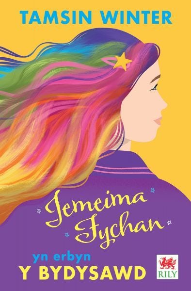 Cover image for Jemeima Fychan yn Erbyn y Bydysawd, isbn: 9781804161036
