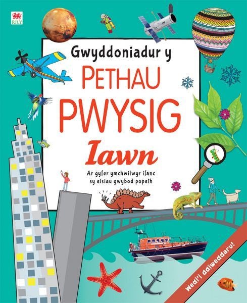 Cover image for Gwyddoniadur y Pethau Pwysig Iawn, isbn: 9781804161210