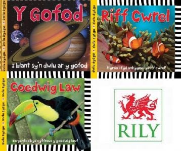 Cover image for Pecyn Dwlu Dysgu 2, isbn: 9781804163023