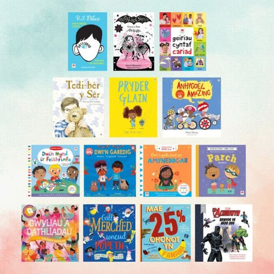Cover image for Pecyn Amrywiaeth / Diversity Pack, isbn: 9781804163146