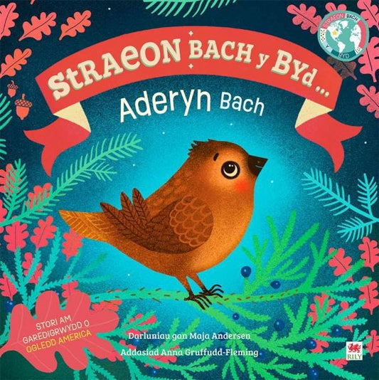 Cover image for Yr Aderyn Bach / The Little Bird (Cyfres Straeon Bach y Byd), isbn: 9781804163238