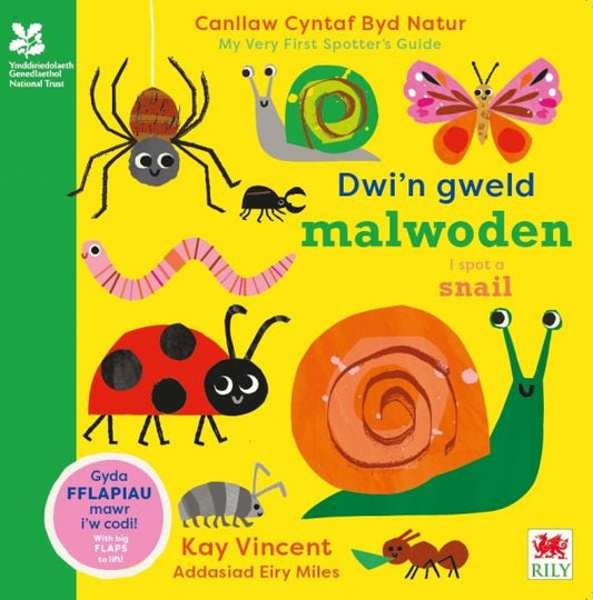 Cover image for Dwi'n Gweld Malwoden / I Spot a Snail, isbn: 9781804163917