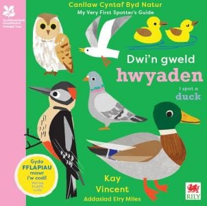 Cover image for Dwi'n Gweld Hwyaden / I Spot a Duck, isbn: 9781804163924