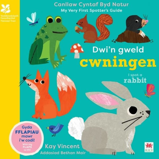 Cover image for Dwi'n Gweld Cwningen / I Spot a Rabbit, isbn: 9781804164501