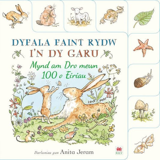 Cover image for Dyfala Faint Rydw i'n dy Garu: Mynd am Dro mewn 100 o Eiriau, isbn: 9781804164648