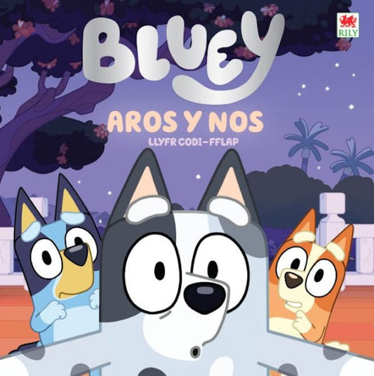 Cover image for Bluey: Aros y Nos (llyfr-codi-fflap), isbn: 9781804165201