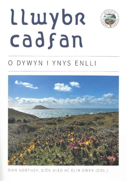 Cover image for Llwybr Cadfan - O Dywyn i Ynys Enlli, isbn: 9781805690016