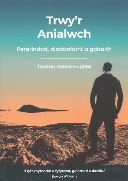 Cover image for Trwy'r Anialwch - Pererindod, dioddefaint a gobaith, isbn: 9781805690085
