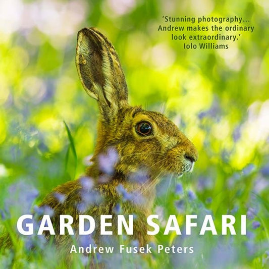 Cover image for Garden Safari, isbn: 9781805950172